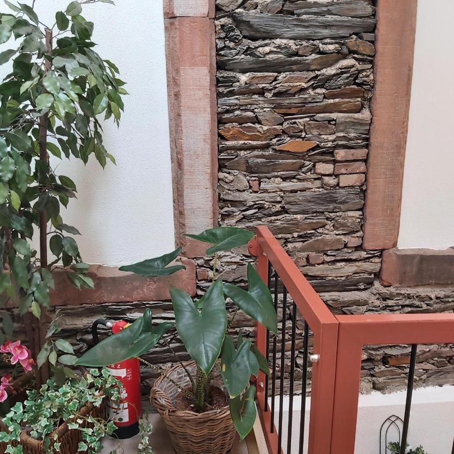 Kleine Altstadt Oase Apartment Bernkastel-Kues Luaran gambar